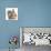 Tabby Kitten, 10 Weeks, with Sandy Netherland-Cross Rabbit-Mark Taylor-Photographic Print displayed on a wall