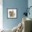 Tabby Kitten, 10 Weeks, with Sandy Netherland-Cross Rabbit-Mark Taylor-Framed Photographic Print displayed on a wall