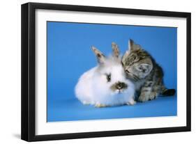 Tabby Kitten and Rabbit-null-Framed Photographic Print