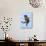 Tabby Kitten Hanging from Washing Line-null-Photographic Print displayed on a wall