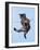 Tabby Kitten Hanging from Washing Line-null-Framed Photographic Print