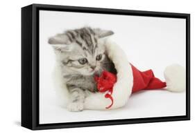 Tabby Kitten in a Father Christmas Hat Playing with a Toy Mouse-Mark Taylor-Framed Stretched Canvas