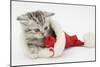 Tabby Kitten in a Father Christmas Hat Playing with a Toy Mouse-Mark Taylor-Mounted Photographic Print