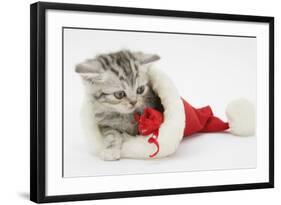 Tabby Kitten in a Father Christmas Hat Playing with a Toy Mouse-Mark Taylor-Framed Photographic Print