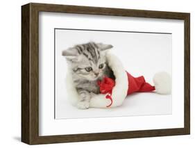 Tabby Kitten in a Father Christmas Hat Playing with a Toy Mouse-Mark Taylor-Framed Photographic Print