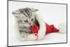 Tabby Kitten in a Father Christmas Hat Playing with a Toy Mouse-Mark Taylor-Mounted Photographic Print