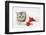 Tabby Kitten in a Father Christmas Hat with a Christmas Decoration Mouse-Mark Taylor-Framed Photographic Print