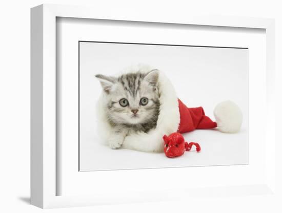 Tabby Kitten in a Father Christmas Hat with a Christmas Decoration Mouse-Mark Taylor-Framed Photographic Print