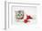 Tabby Kitten in a Father Christmas Hat with a Christmas Decoration Mouse-Mark Taylor-Framed Photographic Print