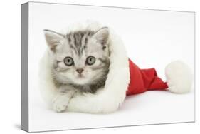 Tabby Kitten in a Father Christmas Hat-Mark Taylor-Stretched Canvas