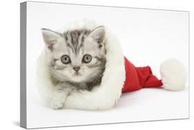 Tabby Kitten in a Father Christmas Hat-Mark Taylor-Stretched Canvas