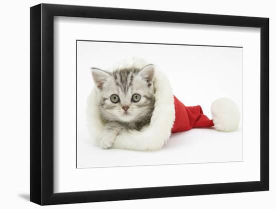 Tabby Kitten in a Father Christmas Hat-Mark Taylor-Framed Photographic Print