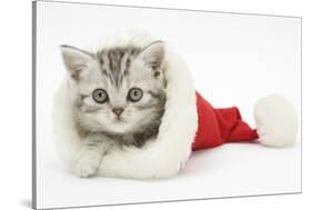 Tabby Kitten in a Father Christmas Hat-Mark Taylor-Stretched Canvas