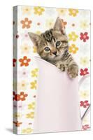 Tabby Kitten in Pink Jug-null-Stretched Canvas