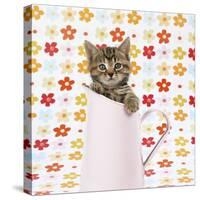 Tabby Kitten in Pink Jug-null-Stretched Canvas