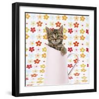 Tabby Kitten in Pink Jug-null-Framed Photographic Print