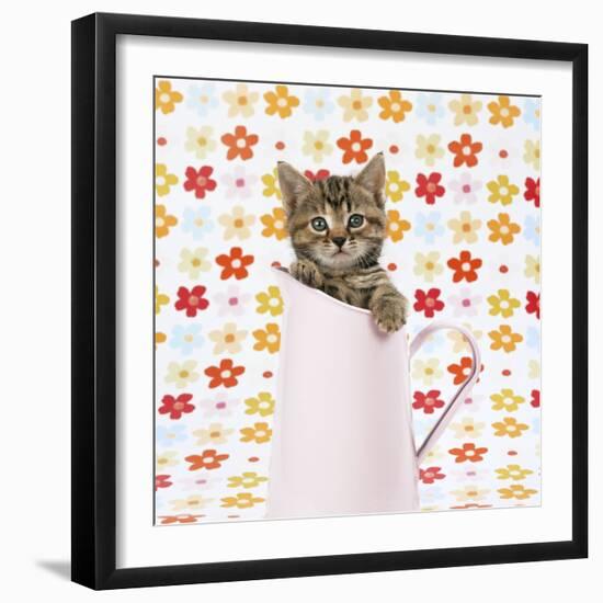 Tabby Kitten in Pink Jug-null-Framed Photographic Print