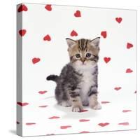 Tabby Kitten on Heart Background-null-Stretched Canvas