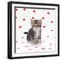 Tabby Kitten on Heart Background-null-Framed Photographic Print