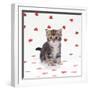 Tabby Kitten on Heart Background-null-Framed Photographic Print