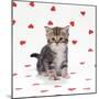 Tabby Kitten on Heart Background-null-Mounted Photographic Print