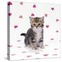 Tabby Kitten on Pink Hearts Background-null-Stretched Canvas