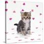 Tabby Kitten on Pink Hearts Background-null-Stretched Canvas