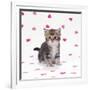 Tabby Kitten on Pink Hearts Background-null-Framed Photographic Print