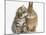 Tabby Kitten, Stanley, 5 Weeks, Eye to Eye with Netherland Dwarf Cross Rabbit, Peter-Mark Taylor-Mounted Photographic Print