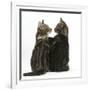 Tabby kittens, Picasso and Smudge, with paws on shoulders-Mark Taylor-Framed Photographic Print