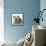 Tabby Kittens, Stanley and Fosset, 3 Months Old, Sitting Together-Mark Taylor-Framed Stretched Canvas displayed on a wall