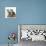 Tabby Kittens, Stanley and Fosset, 3 Months Old, Sitting Together-Mark Taylor-Photographic Print displayed on a wall