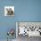 Tabby Kittens, Stanley and Fosset, 3 Months Old, Sitting Together-Mark Taylor-Mounted Photographic Print displayed on a wall