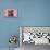 Tabby Kittens, Stanley and Fosset, 6 Weeks, under a Pink Scarf-Mark Taylor-Photographic Print displayed on a wall