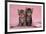 Tabby Kittens, Stanley and Fosset, 6 Weeks, under a Pink Scarf-Mark Taylor-Framed Photographic Print