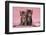 Tabby Kittens, Stanley and Fosset, 6 Weeks, under a Pink Scarf-Mark Taylor-Framed Photographic Print