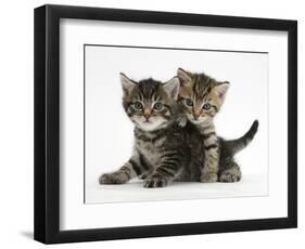 Tabby Kittens, Stanley and Fosset, 6 Weeks-Mark Taylor-Framed Photographic Print