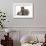 Tabby Maine Coon Kitten, Logan, 12 Weeks, with Rabbit and Guinea Pig-Mark Taylor-Framed Photographic Print displayed on a wall