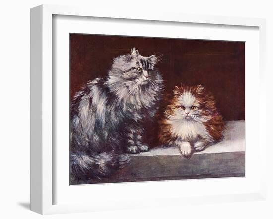 Tabby, Orange Persians-null-Framed Art Print