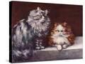 Stretched Canvas