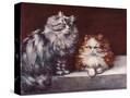 Stretched Canvas
