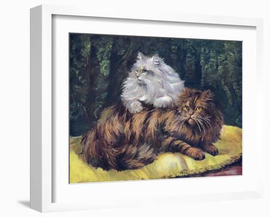 Tabby, Silver Persians-null-Framed Art Print