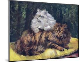 Tabby, Silver Persians-null-Mounted Art Print