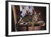 Tabby Sitting on Quilt-DLILLC-Framed Photographic Print