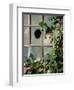 Tabby Tortoiseshell in an Ivy-Grown Window of a Deserted Victorian House-Jane Burton-Framed Premium Photographic Print