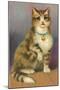 Tabby with Bell-null-Mounted Art Print