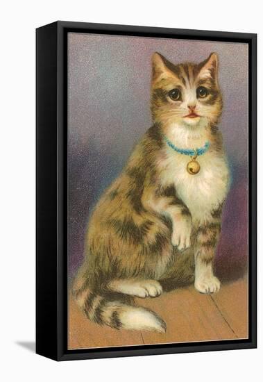 Tabby with Bell-null-Framed Stretched Canvas