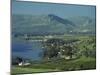 Tabgha, Sea of Galilee, Israel, Middle East-Simanor Eitan-Mounted Photographic Print