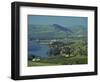 Tabgha, Sea of Galilee, Israel, Middle East-Simanor Eitan-Framed Photographic Print