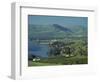 Tabgha, Sea of Galilee, Israel, Middle East-Simanor Eitan-Framed Photographic Print